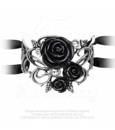 bacchanal-rose