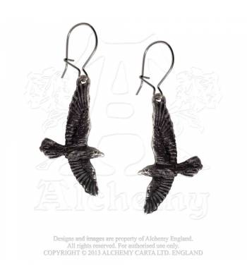 black-raven
