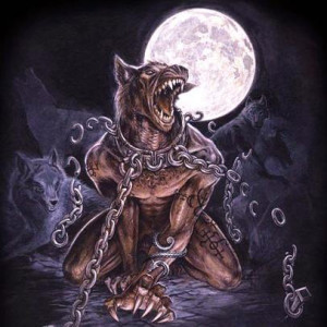 wolf1