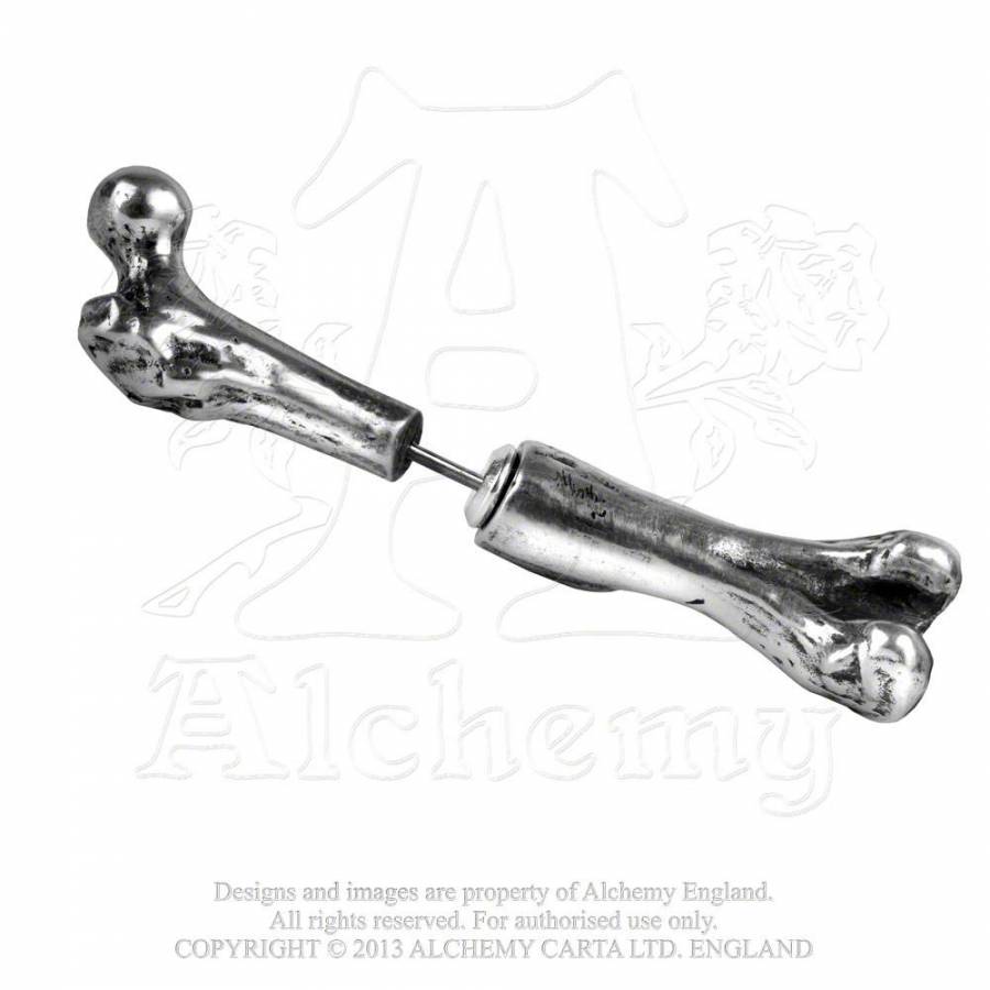 femur-bone