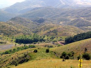 Lykaion
