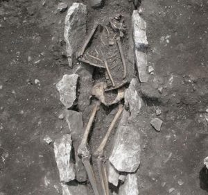 Skeleton