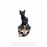 Cat Skull [VM3]